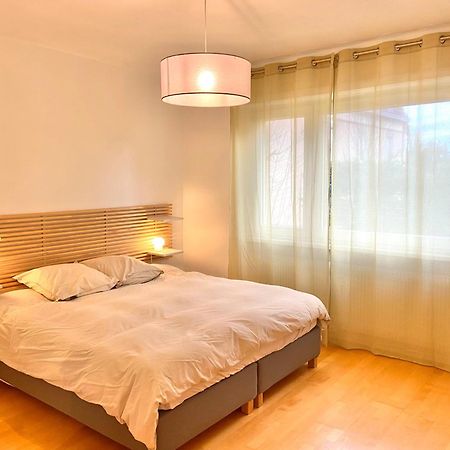 Appart 2Parkings, 2Min Petitevenise-Xmarche Colmar Esterno foto